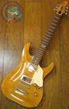 ESP HORIZON classic.jpg